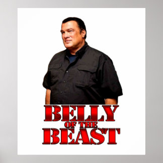 Steven Seagal  Belly Of The Beast Poster