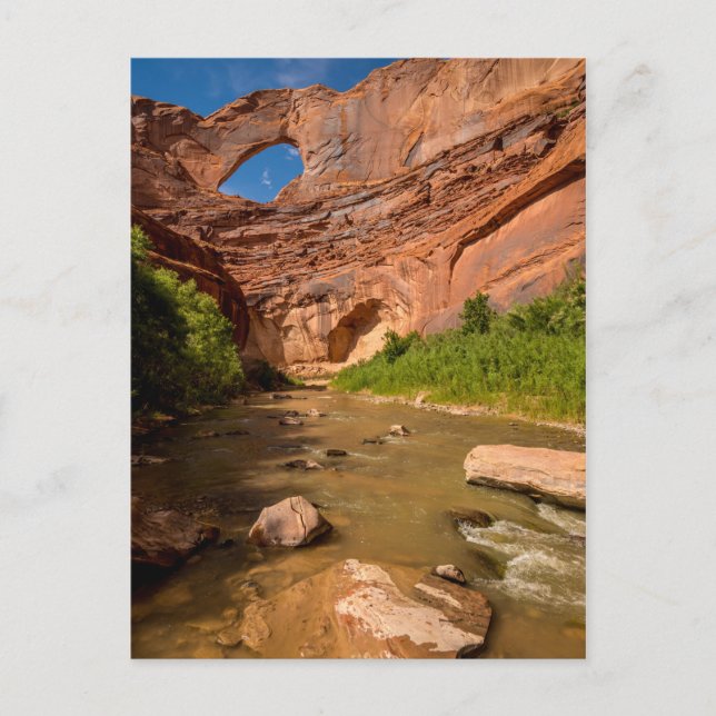 Stevens Arch - Escalante River - Utah Postcard (Front)