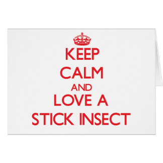 Stick Insect