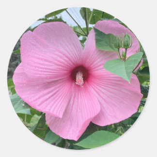 STICK IT - POWER OF THE PINK CLASSIC ROUND STICKER