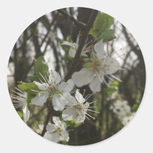 STICK IT - PURITY OF HOPE CLASSIC ROUND STICKER