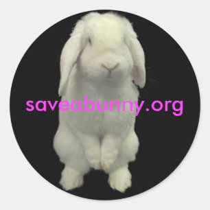 Stick up For Bunnies Classic Round Sticker