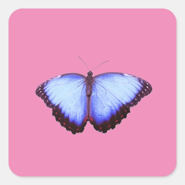 Sticker (Front)