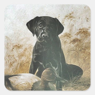 STICKER Black Lab labradors retrievers upland dog