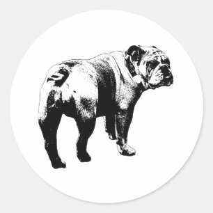 Sticker Bulldog, Clean Cut
