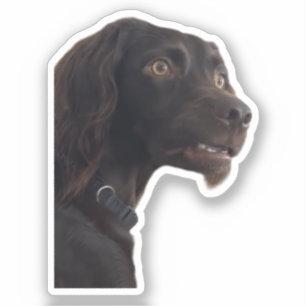 Sticker Confused Dog Meme
