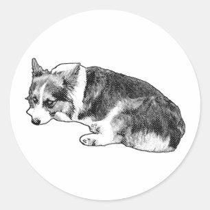 Sticker Corgi, Friendly Rest