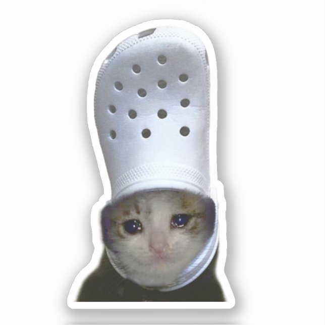 Sticker Crying Cat Croc Hat Meme (Front)