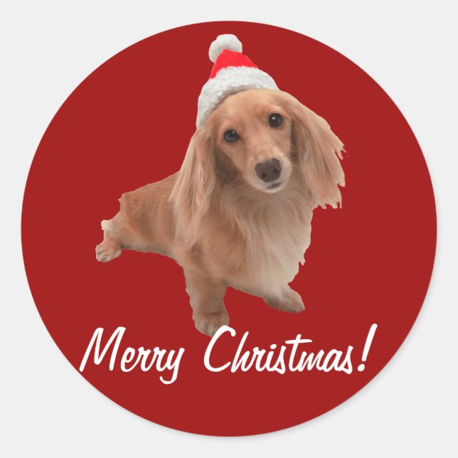 Sticker "Dackel" Christmas (Front)