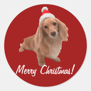 Sticker "Dackel" Christmas