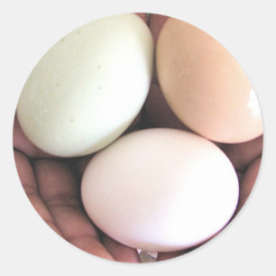 Sticker, Eggs Nested in Hands, Photo Art Classic Round Sticker