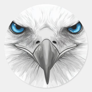 Sticker. Eyes and beak. A stern and serious look. Classic Round Sticker