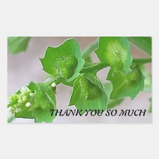 Sticker for thanking (Front)