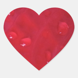 Sticker Heart See Antilurium with a drop of rain