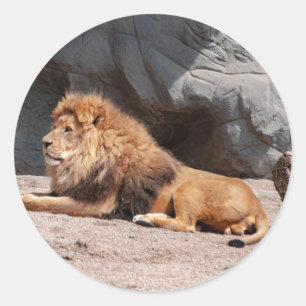 Sticker lion