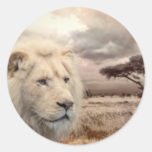 Sticker lion