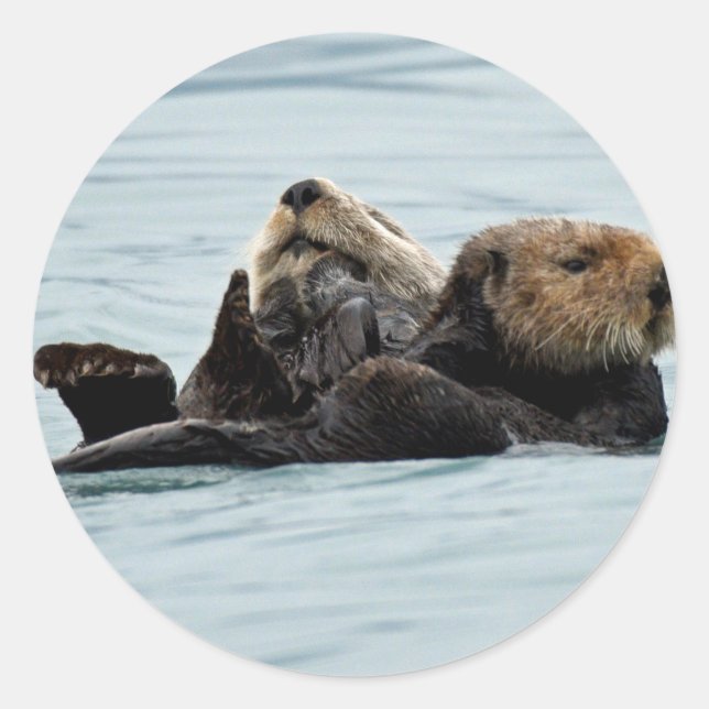Sticker of otters (Front)