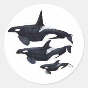 Sticker orca