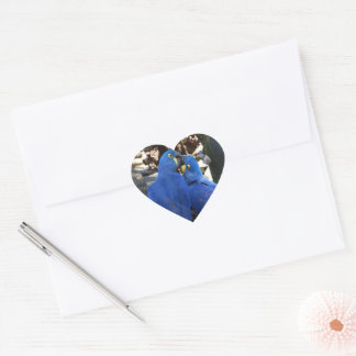 sticker _ parrots _ kiss