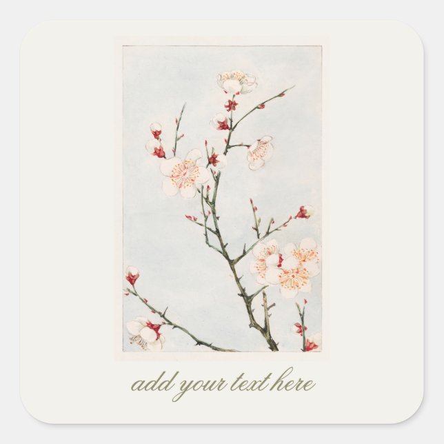 STICKER :  SAKURA BLOSSOMS (Front)
