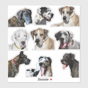 Sticker sheet  various Great Dane faces