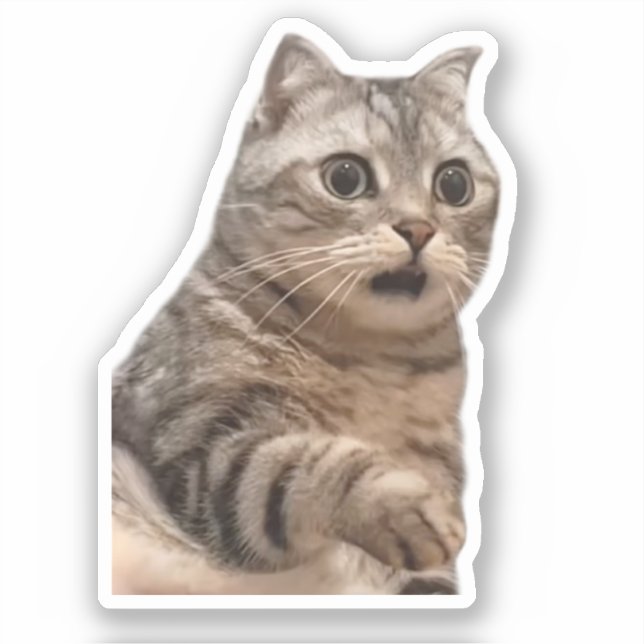 Sticker Shocked Cat Meme (Front)