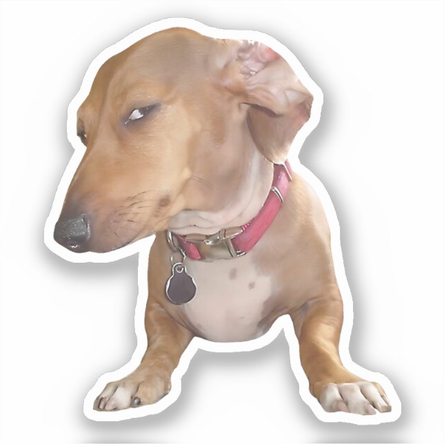 Sticker Side Eye Dog Meme (Front)