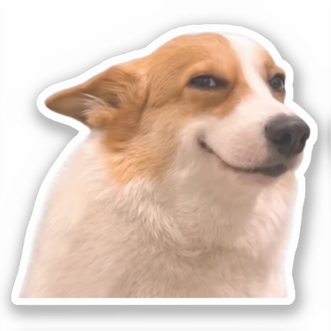 Sticker Smiling Corgi Meme (Front)