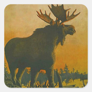 Sticker Wildlife Bull Moose @ Twilight Sundown