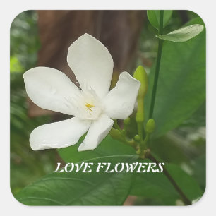 Sticker with nature related message
