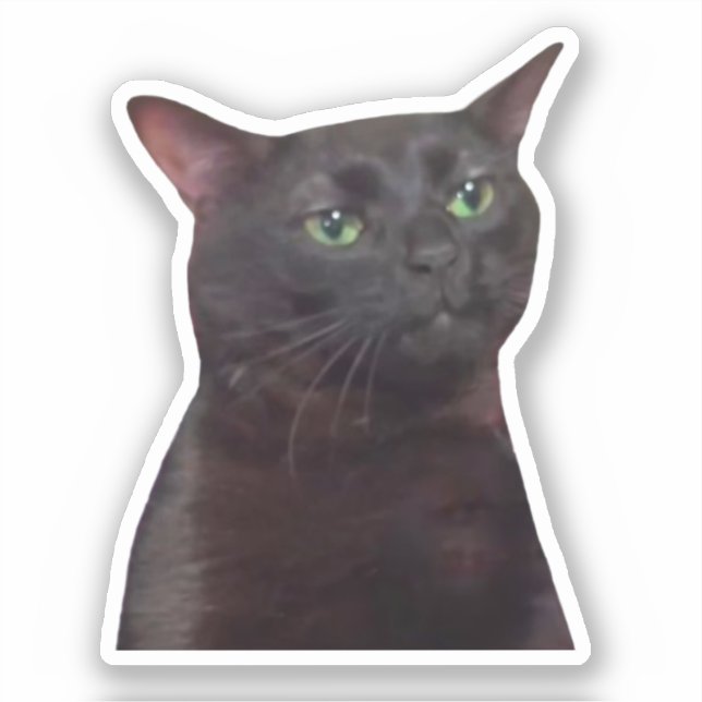 Sticker Zoned Out Cat Meme (Front)