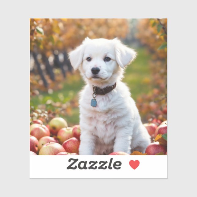 Stickers and Labels (Sheet)