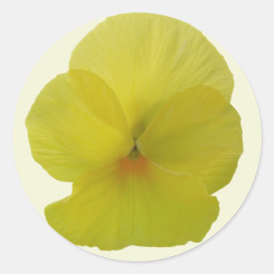 Stickers - Bearded Lemon Pansy