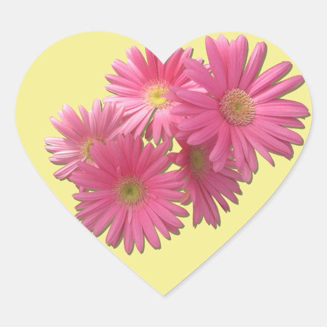 Stickers - Dark Pink Gerbera Daisies (Front)