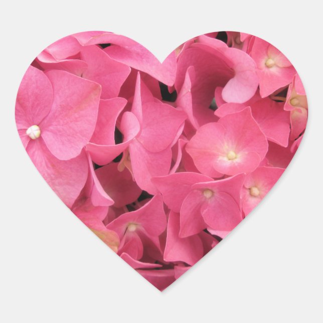 Stickers - Dark Pink Hydrangea (Front)