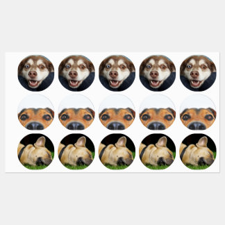 Stickers/labels with pictures of puppies