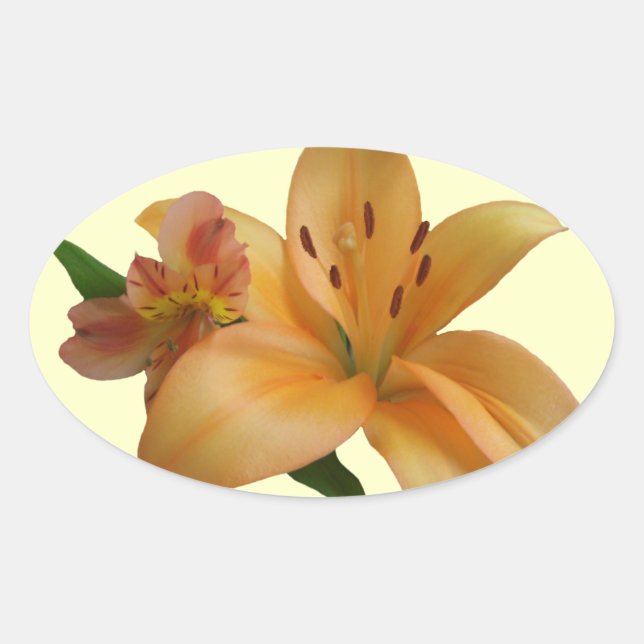 Stickers - Lily & Friend (R/F) (Front)