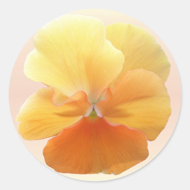 Stickers - Orange Pansy (Front)