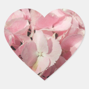 Stickers - Pink Hydrangea