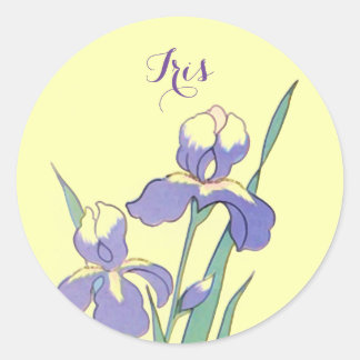 Stickers Round Dot Iris Personalised Custom Seals