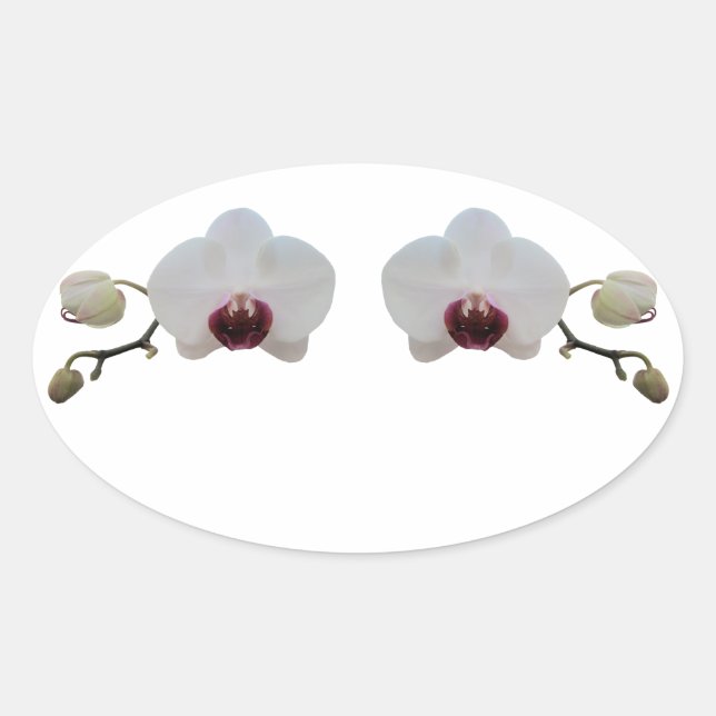 Stickers - Ruby-Lipped White Orchid (Front)