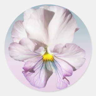 Stickers - Ruffled Lavender Pansy