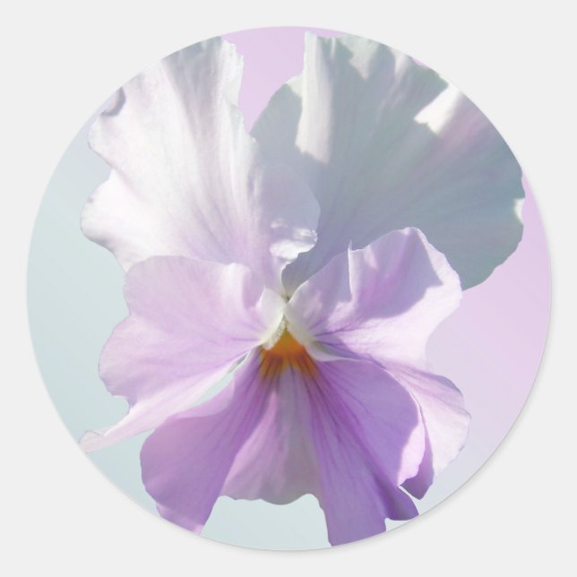Stickers - Ruffled Pink Pansy (Front)