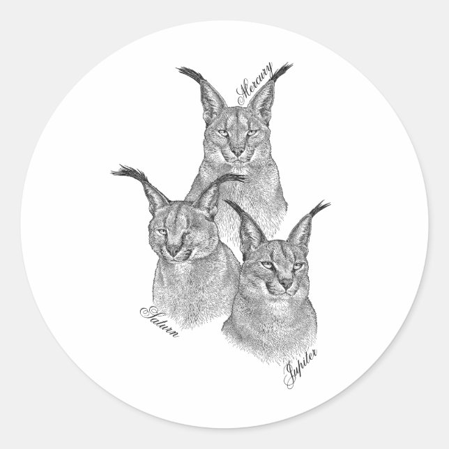 Stickers - The Planets (Front)