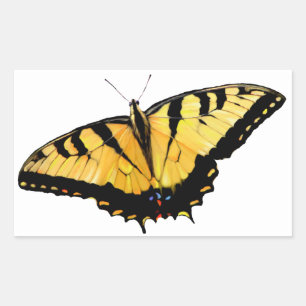 Stickers Tiger Swallowtail