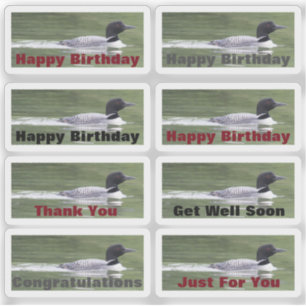 Stickers With Loons and Text To Personalise
