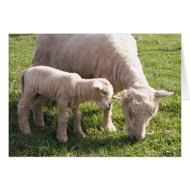 Sticking Close (Front Horizontal)