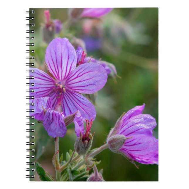 Sticky geranium wildflowers spiral notebook (Front)