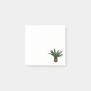 Sticky Notes with Potted Green Plant 