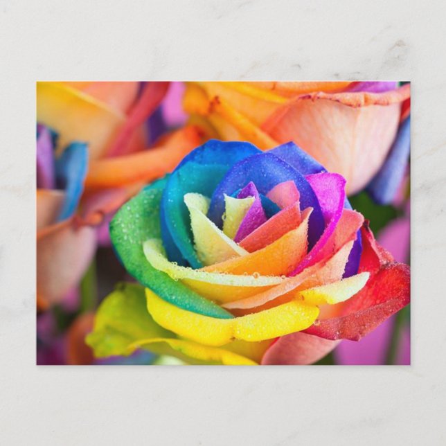 sticky postcard (Front)